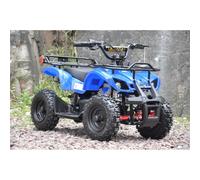 MINIQUAD HUMMER MINI ATV ELETTRICO 1000W 36V RUOTE 6 DI VARI COLORI