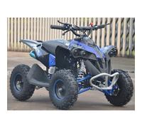 MINIQUAD QUAD RENEGADE PER BAMBINI - 49cc easy start ruote 6" carburatore 14mm