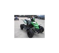 MINIQUAD RAPTOR 49CC 2 TEMPI 4 RUOTE QUAD MINI ATV MINIATV