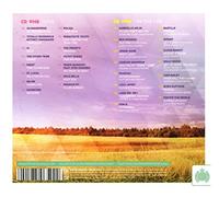 Ministry Of Sound - Electric Summer 2013 (2 CD)