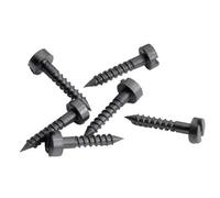 MiniTrix T66548 Vite per binari 7 mm