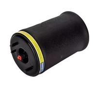 MINJKL Sacco Sospensioni Pneumatiche Compatibile con per X5 E53 2000 2001 2002 2003 2004 2005 2006 2007 Soffietto A Molla Pneumatica Posteriore Sinistro 37126750355 37121095579