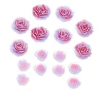 minkissy 1 Scatola Gioielli con rosa sfumata kit smalto gel corpo gel da costruzione Unghia henne sopracciglia decorazioni unghie Fiori 3d per unghie fiori per unghie per nail art resina