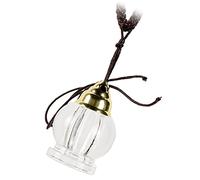 minkissy Il ciondolo voliera di Buddha collana pendente diffusore di olio essenziale collana pendente bottiglia di profumo ciondolo sospeso per aromaterapia collana di fiale