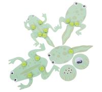 minkissy Kit Educativo Ciclo con Trasformazione Girino per Esperimenti Scientifici Biologici Studenti Scuola