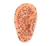 minkissy Per Massaggio Auricolare Con Agopuntura Punti Auricolari Medicina Cinese Per Il Trattamento Dello