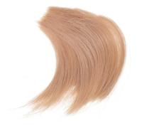 minkissy Polvere Erbosa per Modellismo Materiale per Ornamento Paesaggio Miniatura Prato Secco per Diorama e Vegetazione Presepe