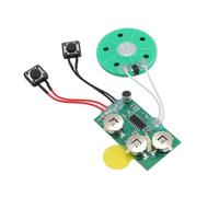 Minleshry Modulo Audio di Controllo Chiave con Altoparlante, | Voce Personalizzabile, 3 X LR44 Alimentate a Batteria, per Regali di Giocattoli di Carte