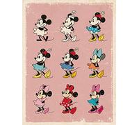Minnie Mouse Evolution 40 x 50 cm, stampa su tela, poliestere, multicolore, 40 x 50 x 3,2 cm