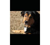 Mino and the treasure Map