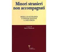 Minori stranieri non accompagnati. Modelli di accoglienza e strategie educative: il caso Venezia