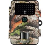 Minox DTC 550 - Telecamera WiFi mimetica, 1 pezzo (confezione da 1)