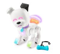 MINTiD robot DOGE