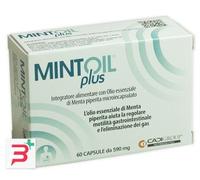 MINTOIL PLUS 4 BLISTER DA 15 CAPSULE
