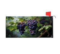 Mintoprints Copertura magnetica per cassetta postale con uva e frutta, copertura per cassetta delle lettere, decorazione per giardino, cortile, dimensioni standard, 45,7 x 53,3 cm