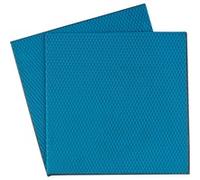 Thermal Grizzly Pasta termica Pad Minus Pad Advance 100x100x1,5 mm