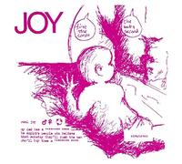 Minutemen - Joy Ep