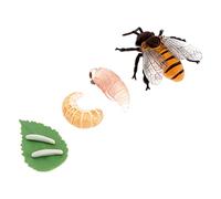Mipcase 1Set Giocattoli Educativi Sul Ciclo delle Api Miniatura per Esplorazione Naturale e Giochi Ruolo per Compleanni e Feste