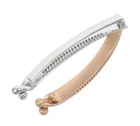Mipcase 2 pezzi Clip per Banana Verticali Fermagli Metallici Eleganti con Punk Satinato e Morbidi e Resistenti per Acconciature Sicure Segni