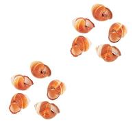 Mipcase 2 Set Gusci Naturali per Cucina Gusci Escargot per Design Spesso E Isolante Materiale E Edibile per Ristoranti E Uso 5 Pezzi * 2