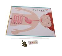 Mipcase 4 Set Digerente per DIY Educativo per Apprendimento Scolastico Gioco Scientifico per Kit Manuale per Esplorazione Corpo