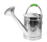 Mipcase Annaffiatoio In Per Piante Da 5L Annaffiatoio In Acciaio Zincato Con Beccuccio Spray