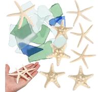 Mipcase Set di Vetro Marino a Stella per Decorazioni Casa e Acquario