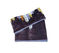 Mirabello CARRARA Coppia Asciugamani di Spugna John-Marrone