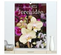Miracle floral l'orchidée (Calendrier mural 2026 DIN A2 horizontal) calendrier de bureau: Les reines exotiques des plantes d'intérieur