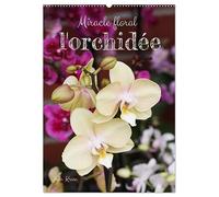 Miracle floral l'orchidée (Calendrier mural 2026 DIN A2 horizontal), CALVENDO calendrier mensuel: Les reines exotiques des plantes d'intérieur
