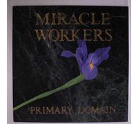 MIRACLE WORKERS - primary domain