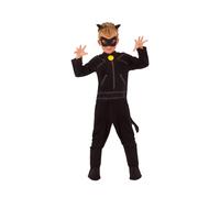 Miraculous Lady BugBambini Adrian Agreste Costume (BN5541)