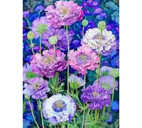 MIRONS 11CT Kit Punto a Croce Timbrato, Fiori Fai-da-te Ricamo Linea Completa di Kit Iniziali Per Ricamo Prestampato Per Principianti