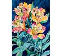 MIRONS 11CT Kit Punto Croce Prestampato, Fiori Ricami Punto Croce Kit da Ricamare Principianti, Set Ricamo Schemi Completo Stampato Stampati Prestampati