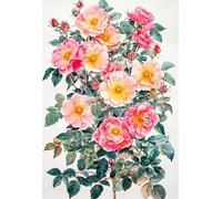 MIRONS 11CT Punto Croce Kit da Ricamare, Fiori Kit Punto Croce Prestampato Completo Stampati Schemi per Principianti Set Ricami