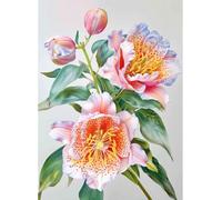 MIRONS 11CT Punto Croce Kit da Ricamare, Fiori Kit Punto Croce Prestampato Completo Stampati Schemi per Principianti Set Ricami