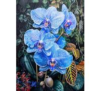 MIRONS Kit da Ricamo per Principianti, Fiori 11CT Kit Punto Croce Ricami Prestampato, Ricamo Starter Kit Punto a Croce Timbrato Set