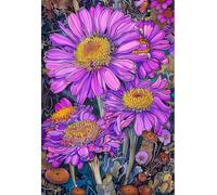 MIRONS Kit da Ricamo per Principianti, Fiori 11CT Kit Punto Croce Ricami Prestampato, Ricamo Starter Kit Punto a Croce Timbrato Set