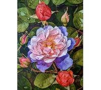 MIRONS Kit Punto Croce Prestampato, Fiori 11CT Contato Cross Stitch Kit, DIY Completo Ricamo Threads Set Set Ricamo Stampato Per Principianti