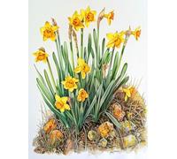 MIRONS Kit Punto Croce Prestampato, Fiori DIY Set per Ricamo Punto Croce,11CT Cross Stitch Embroidery Starter Kit per i Principianti