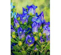 MIRONS Kit Punto Croce Stampato 11CT, Fiori Kit da Ricamare per Principianti, Set Ricamo Punto Croce Schemi Stampato Stampati Prestampati