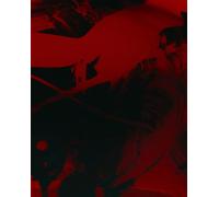 Mirror - Collaborative Pictures by Merrick d'Arcy Irvine x Julia Bajanova