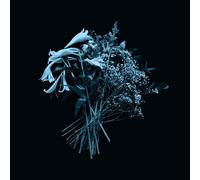 Mirror Of Haze The end is the beginning (CD)