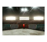 MIRRORANG 2,2 x 1,5 m sfondo di boxe per potografia, boxe, partite sadio, tifo adudienc wrestling ring wrestling wrestling, decorazioni per feste di compleanno baby shower ragazzo uomo sportivo