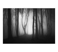 MIRRORANG 3x2,5m Misty Woods Sfondo Scuro Spaventoso Deserto Foresta Sfondo per la Fotografia Halloween Notte Horror Strega Magia Tema Partito Decorazione Banner Photo Booth Oggetti di Scena
