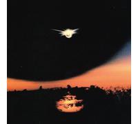 Mirrorring - Foreign Body