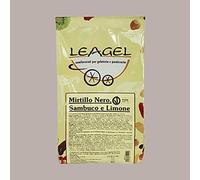 Mirtillo Nero Sambuco e Limone Preparato in Polvere Easy per Gelato Leagel - 1,2 kg -