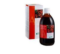 Santiveri MIRTILLO RO CONC 490ML