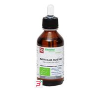 MIRTILLO ROSSO MG BIO 100ML