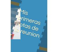 Mis primeras notas de la reunion